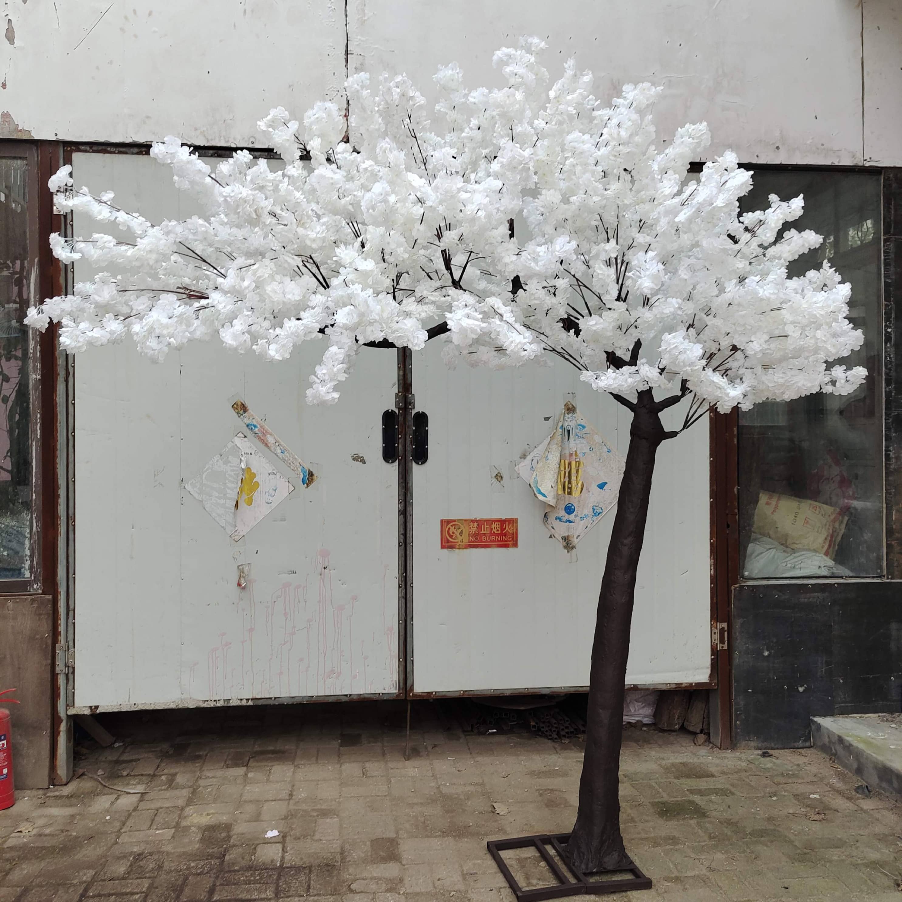 shop-thumb